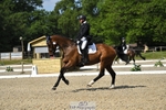 Rider 310 to 319 portfolio