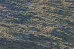 HBMR-Leg 4-4