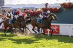 240824-Race 7-Sir Busker-9254