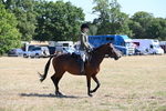 WJ6_8356