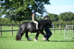 SBM_36726