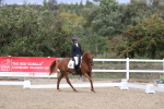 SBM_003817