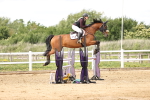 SBM_003295