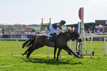080426-Race 2-Rotokura Belle-0051