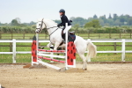 SBM_009216