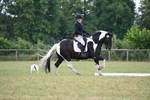 WJ6_6659