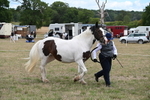 WJ6_5317