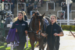 241025-Race 4-Jack Hyde-3703