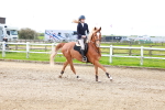 SBM_001747