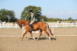 SBM_02245