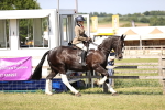 SBM_18694