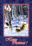 X36 Flighty Papillon
