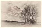 LARRY'S TENSET, 2014 portfolio