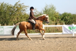 SBM_01266