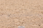 240706A-123729-01753