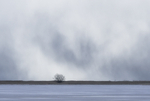 SNOW SQUALLS, 2017 - LONG POINT