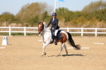 SBM_001426