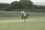 BVHT 140517  IXC -279