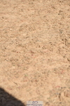 230906A-133406-00462