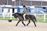 SBM_006803
