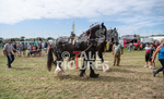 Guernsey Agricultural Show 2021-168