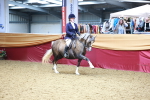 SBM_23777