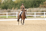 Class 3 - Novice 4 - 11.43-12.25 portfolio