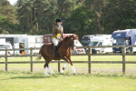 SBM_09621