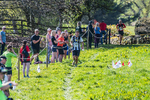 The Finish-729