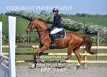 BPP_7967