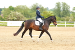 SBM_006603
