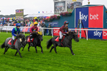 060926-Shetland Pony Race-Claredale Edward-6082