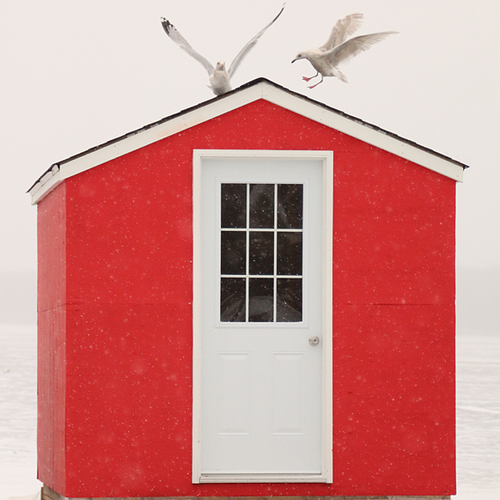 A bright red ice shack along the Kennebecasis River @ Rothesay, NB.