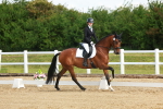 SBM_007728