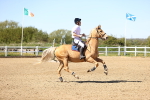 SBM_002665