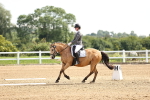 SBM_000287