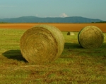Haybails Tennessee
