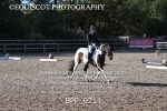 BPP_9211