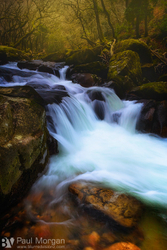 Shaugh Gold Rush