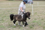WJ6_5261