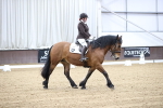 SBM_004217