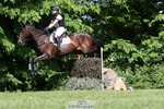 263-CARWARTHEN_HARRIER-Polly_Muirhead-XC portfolio