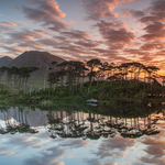 Pine Island Sunrise, Derryclare Lough, Connemara
