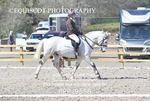 BPP_9558