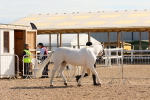 SBM_17887