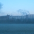 Early Morning Murk