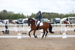 SBM_00463