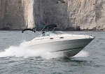 090809 SEARAY SUNDANCER IMG_7359