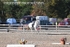BPP_9255