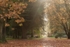 Autumn Gateway